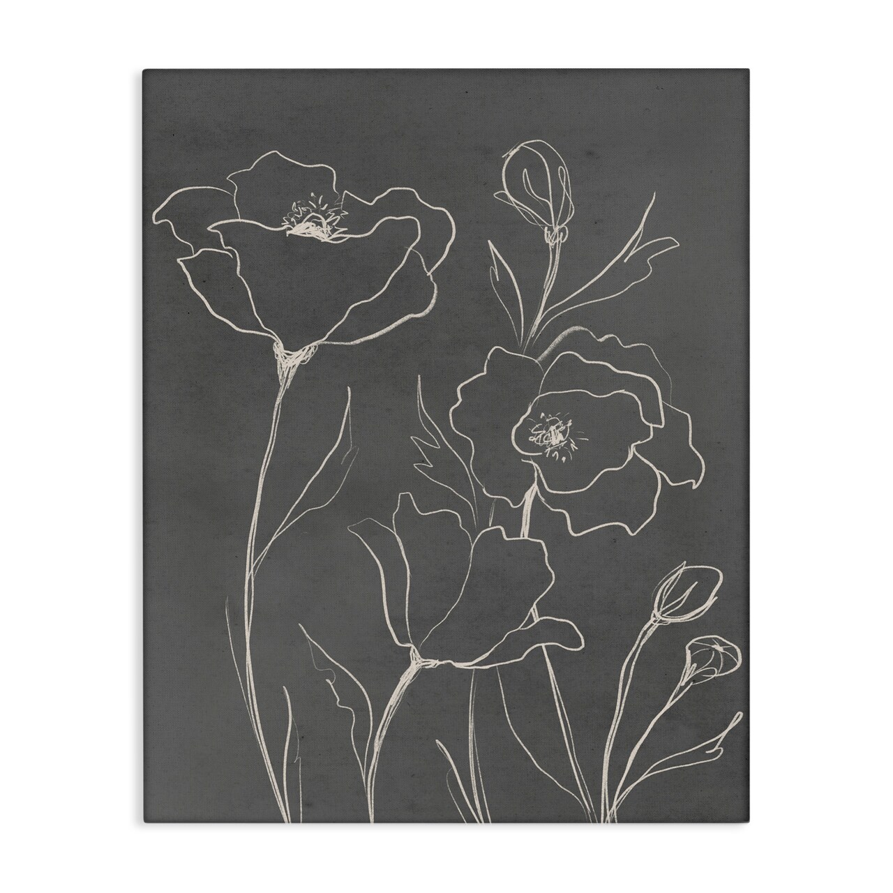 Stupell Industries Gray Poppies Outline Canvas, design by Elizabeth Medley